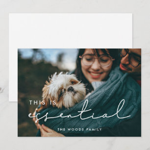 Minimalist This is essential 2024 Photo Holiday Card