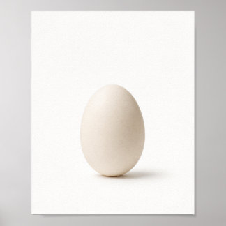 Minimalist White Egg Still Life Poster