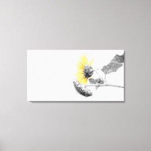 Minimalist Yellow Sunflower Selective Colouring Canvas Print