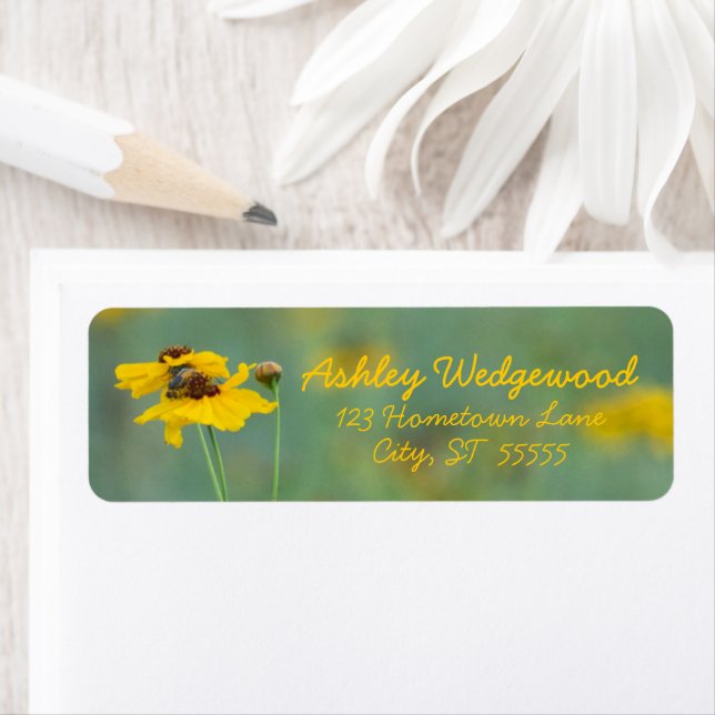 Minimalist Yellow Wildflower Photo Personalized (Insitu)