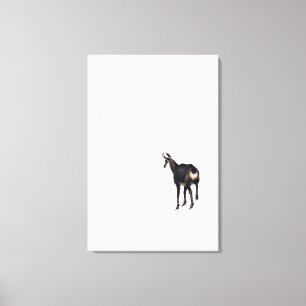 Minimalistic Alpine Chamois mountain goat on snow Canvas Print