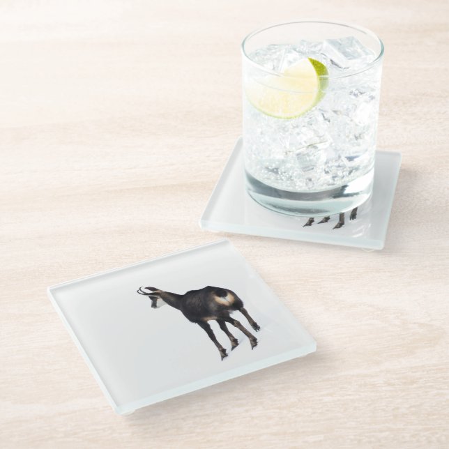 Minimalistic Alpine Chamois mountain goat on snow Glass Coaster (Angled)