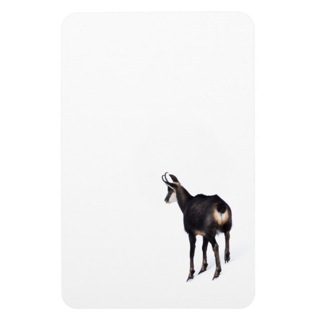 Minimalistic Alpine Chamois mountain goat on snow Magnet (Vertical)