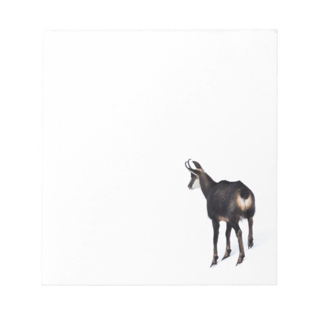 Minimalistic Alpine Chamois mountain goat on snow Notepad (Front)