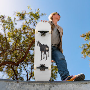 Minimalistic Alpine Chamois mountain goat on snow Skateboard