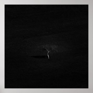 Minimalistic lonely tree in black and white poster