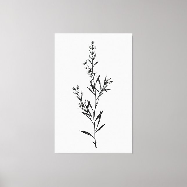 Minimalistic Monochrome Rosemary Sprig Sketch Canvas Print (Front)