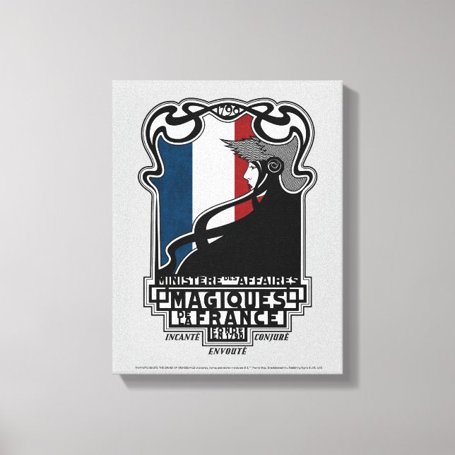 Ministère des Affaires Magiques de la France Logo Canvas Print (Front)