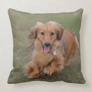 Miniture Dachshund Running Throw Pillow