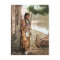 Minnehaha 1897 Vintage Native American Hiawatha