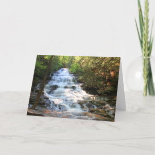 Minnehaha Card