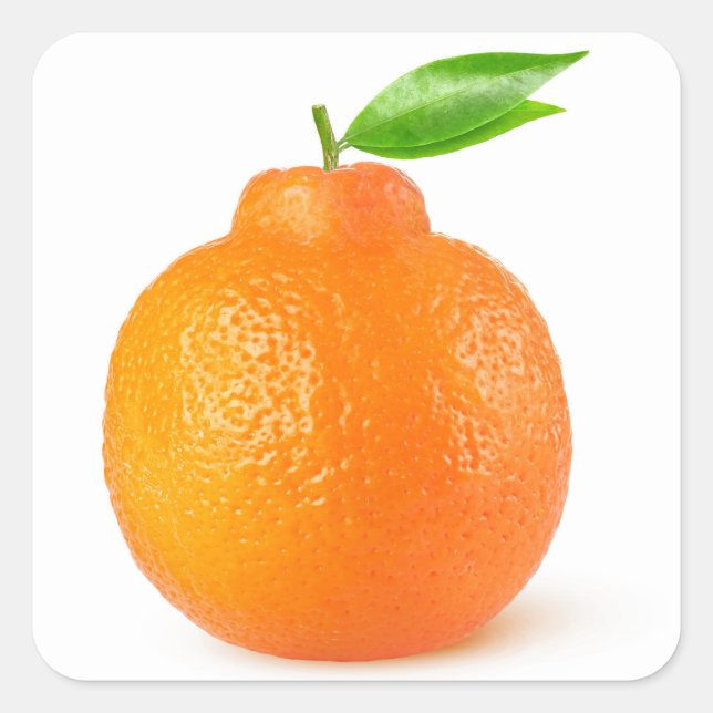 Minneola tangelo citrus fruit square sticker (Front)