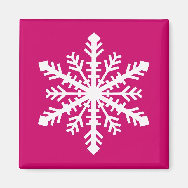 Minnesnowta Snowflake Magnet (Front)