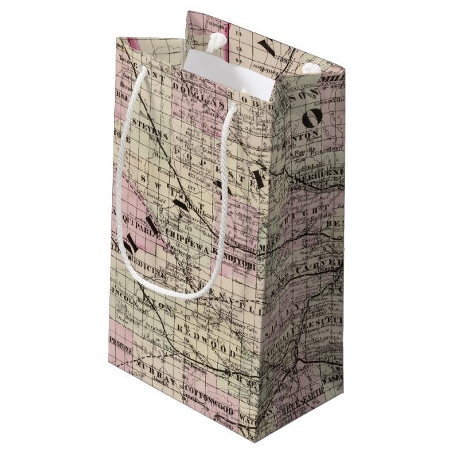 Minnesota 9 small gift bag (Back Angled)