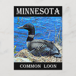 Minnesota Common Loon Postcard