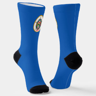 Minnesota flag socks