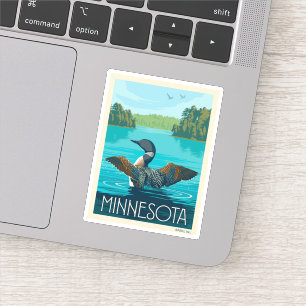 Minnesota   Loon