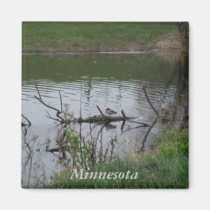Minnesota Magnet