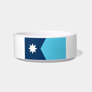 Minnesota new flag-seal bowl