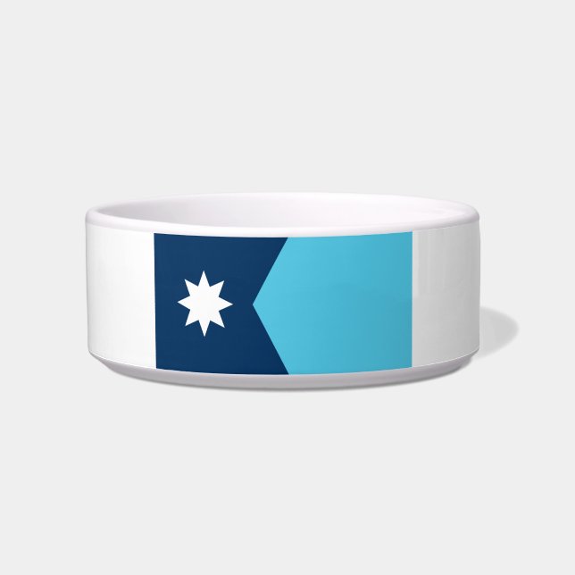 Minnesota new flag-seal bowl (Front)