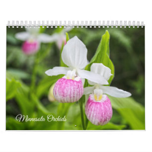 Minnesota Orchids calendar