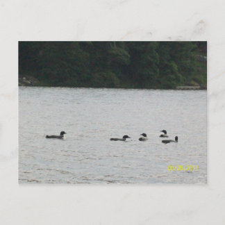 Minnesota Postcard