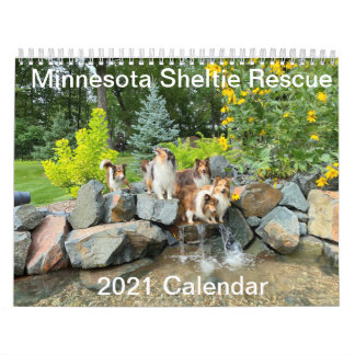 Minnesota Sheltie Rescue 2021 Calendar