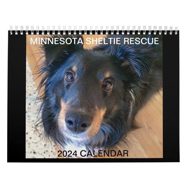 MINNESOTA SHELTIE RESCUE 2024 CALENDAR (Cover)