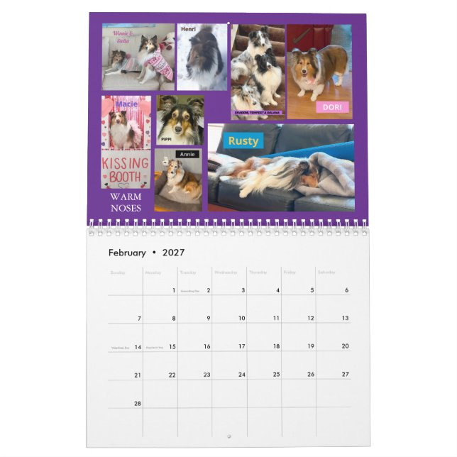 Minnesota Sheltie Rescue Calendar 2025 (Feb 2027)