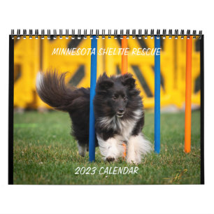 MINNESOTA SHELTIE SECOURT 2023 CALENDRIER