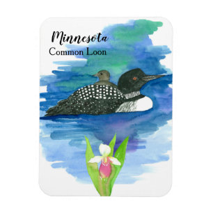 Minnesota Souvenir Loon Waterfowl Bird  Magnet