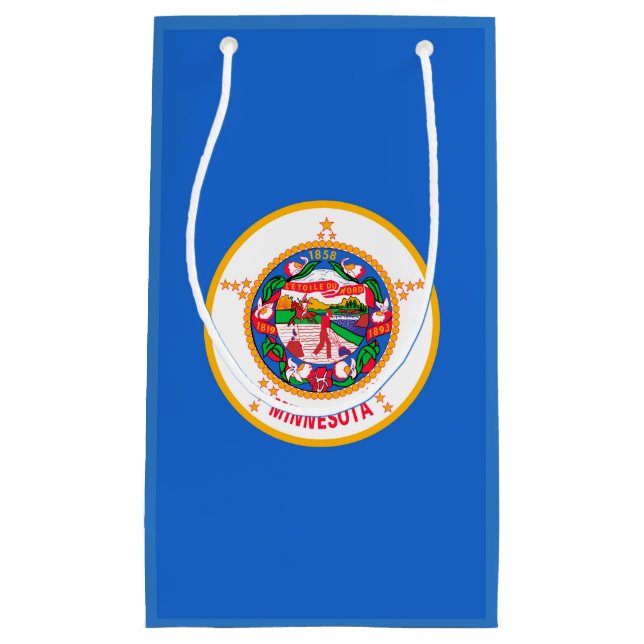 Minnesota State Flag Design Small Gift Bag (Front)