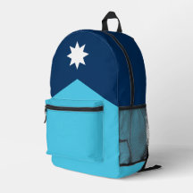 Minnesota State Flag