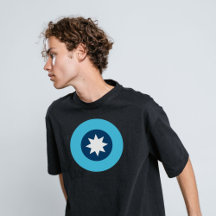 Minnesota State Flag Roundel