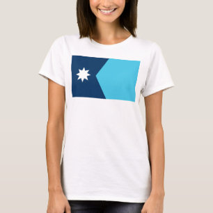 Minnesota State Flag T-Shirt