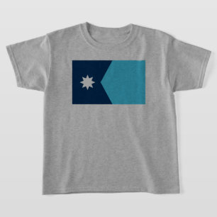 Minnesota State Flag T-Shirt