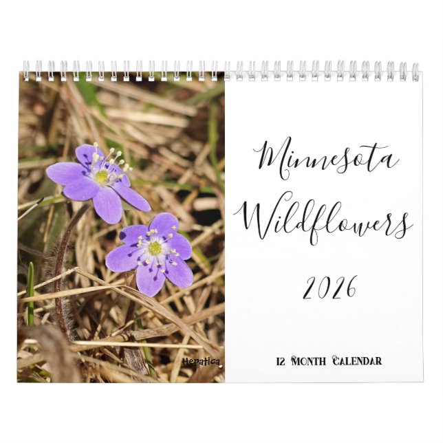 Minnesota Wildflower 2026 12 Month Wall Calendar (Cover)