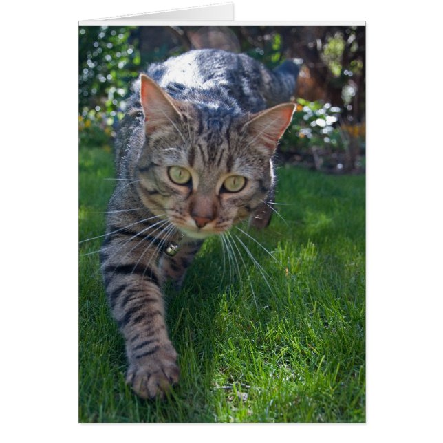 Minnie03 (Devant)