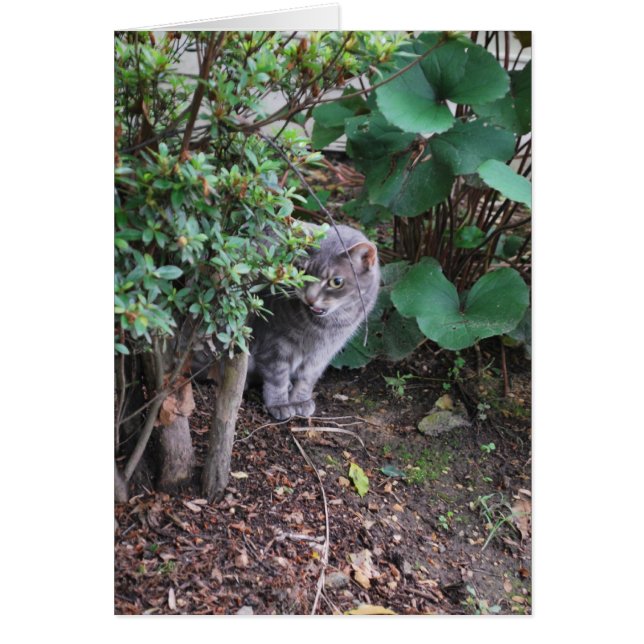 Minnie dans le jardin (Devant)