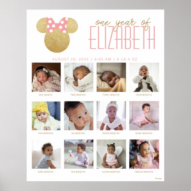Minnie Mouse Icon | One Year of - 12 Months Poster (Front)