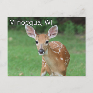 Minocqua Wisconsin Carte postale Souvenir