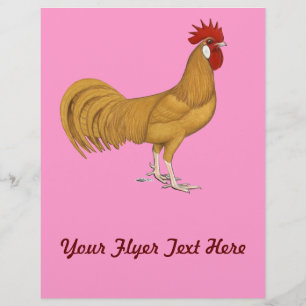 Minorca: Buff Rooster Flyer