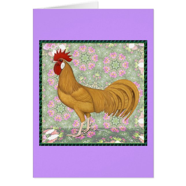 Minorca:  Old-fashioned Rooster (Front)