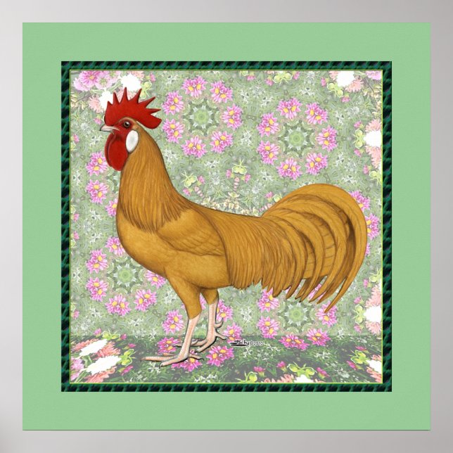Minorca:  Old-fashioned Rooster Poster (Front)