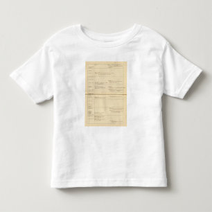 Minorities of France Toddler T-shirt