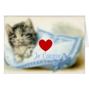 Minou mignon avec le coussin et amour