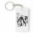 Minous noirs et blancs somnolents des chats |