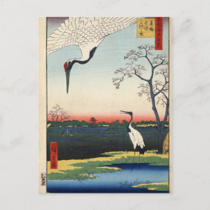 Minowa, Kanasugi, Mikawashima. Postcard