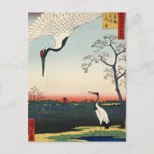 Minowa kanasugi mikawashima postcard