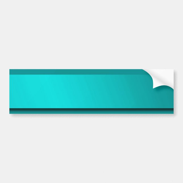 mint,blue,monochrome shiny sticker space (Front)
